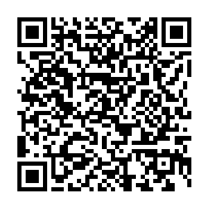 我从来不认为犯了错误之后承认错误改正错误会有损于自身的形象威信二维码生成