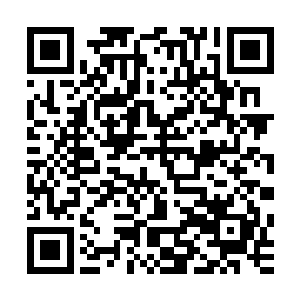 我从来就没有想过把自己当成一个可以登上至尊宝座的大人物二维码生成