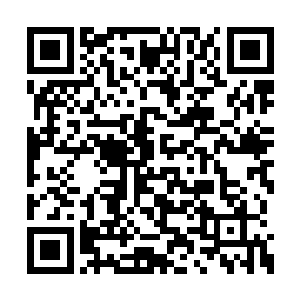 我从来没拿刀放在你们脖子上逼你们看我的书吧二维码生成