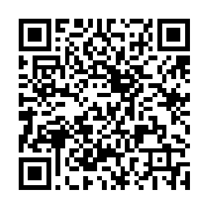 我从来没有想到玄黄大陆竟然有如此多上古妖兽的存在二维码生成