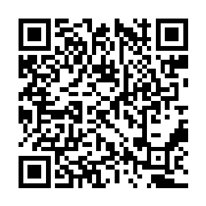 我从来没有见到如晨哥儿祖父待妻子那般宠爱的人二维码生成