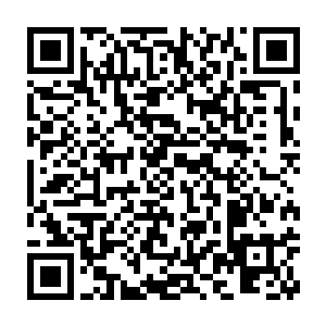 我从没听说过彩云间有什么炼器师可以将伪仙器炼制到这种程度的二维码生成