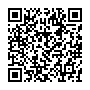 我仔细去回忆我与左司和左司父亲见面后的情形二维码生成