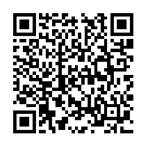 我仔细的梳理了一下我所熟悉的那几个类型的兑换二维码生成