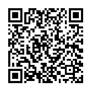 我他妈的怎么就那么喜欢看你又生气又羞臊的样子呢二维码生成