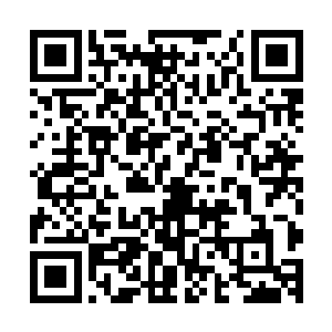 我代表中国政府向因毒气弹而亡及受伤的合众国士兵郑重道歉二维码生成