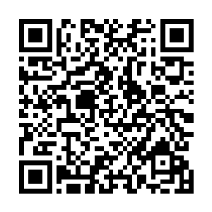 我令水镇城隍羁押这部分的入道期弟子和悟道期长老回去二维码生成