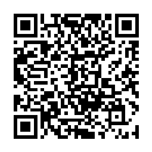 我以为你也和其它的老师一样只会教书不懂看病――二维码生成