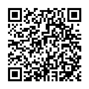 我以为我这后半辈子不是在监狱度过就是在海外流浪了二维码生成