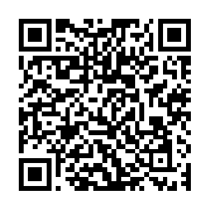 我以为是因为那天晚上的事情你才特意向我下战书准备报仇雪恨二维码生成