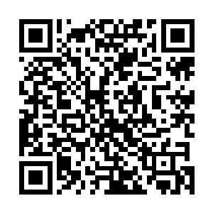 我以为老师会有些不一样的说法……这次怕是躲不过了啊二维码生成