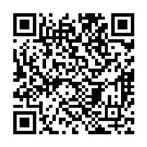 我以前听人说流沙的五暗卫从来不会一起出手去对付一个人二维码生成