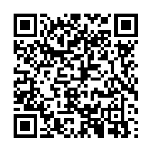 我以前的主人也时常用大段大段的时间闭关修炼心境二维码生成