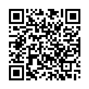 我们一会儿吃完饭就去你子衿伯伯家看梅花二维码生成