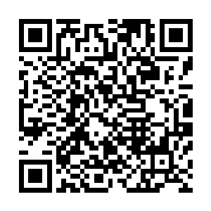 我们一定会以最快的速度抓到真正的凶手还安太太一个清白二维码生成