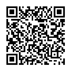 我们一定会在最短的时间里面为你管理好这些事情的二维码生成