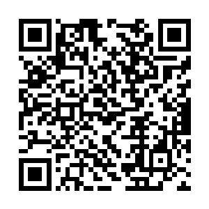 我们一定会将完整的神药植株尽最大可能完成移植二维码生成