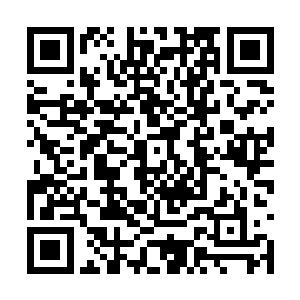 我们一定要教训教训这个不知道天高地厚的臭小子二维码生成