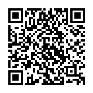 我们一家是怀着要让妈妈幸福快乐地度过余生的心情来接纳您的二维码生成