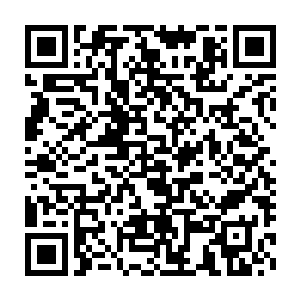 我们一级党委政府在经济发展工作中究竟应该发挥一个什么样的作用二维码生成