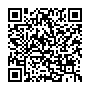 我们一起让金乌族成为这失落岛上的最强家族吧二维码生成