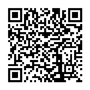 我们上次找了半天就是不知道她小兔子放到哪里去了二维码生成