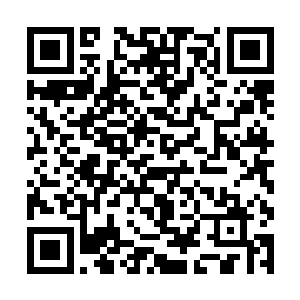 我们不会为要通缉你和要找你报仇的人提供任何协助二维码生成