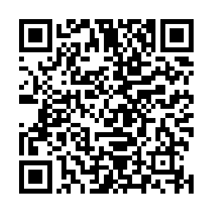 我们不想被人奴役我们不想将自己的性命交在别人的手里二维码生成