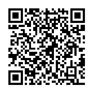 我们不是・・・我们是海盗的受害者・・・黑珍珠・・・可恶二维码生成