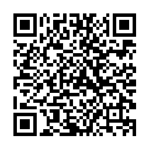 我们不相信能在这短短一年的时间内搜遍整个星月界二维码生成