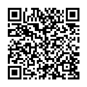 我们不能眼睁睁看着伏羲将吕轻尘和楚之晓等人的神魂彻底吞噬二维码生成