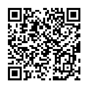 我们不能让元帅亲卫出现一个大队编制被盗贼歼灭的先例二维码生成
