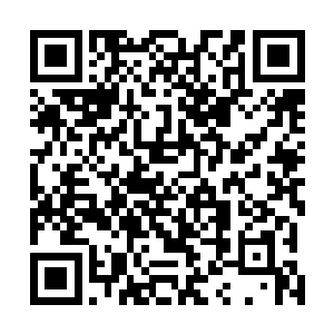 我们世家联盟就负责中部吧毕竟世家几乎都在北地的中部二维码生成