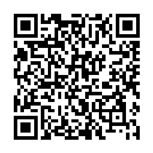 我们东部九大宗门和北部上元盟也都愿意奉你为盟主二维码生成