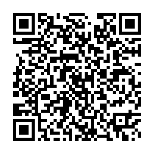 我们两个派出去的修士都已经早早地于通往日耀城的必经之地埋伏好了二维码生成