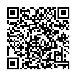 我们中夏国无论文化艺术还是武功艺术可都是博大精深二维码生成