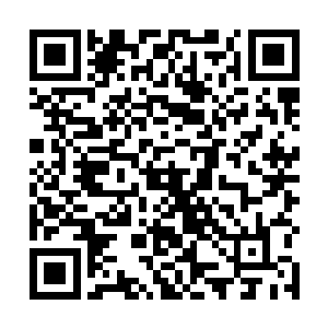 我们为什么不能够理解为他是想要我们两个为他报仇呢二维码生成