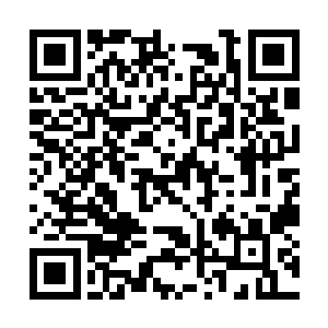 我们为我们之前的行为和言行感到十二万分的抱歉二维码生成