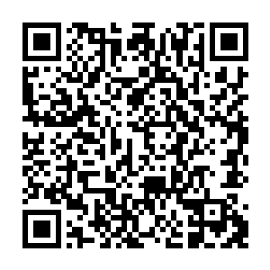 我们之前是因为吸收了灵兽的精灵宝钻才将受到污染的灵气吸收进体内的二维码生成