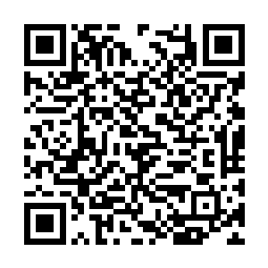 我们之所以知道是因为我们送家人族人进君主阁了二维码生成
