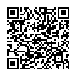 我们之所以要用一万积分如此大手笔来兑换封魔果二维码生成