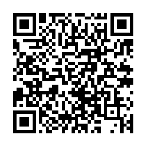 我们乌家的虎形拳和蔡师叔家传的炮拳都要算是极度刚猛的拳法二维码生成