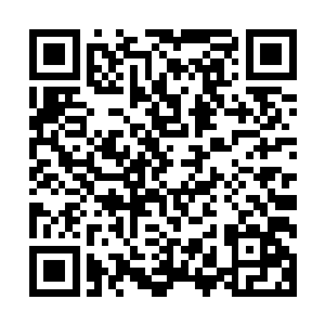 我们九鼎门需要你们洪剑门在十年内为我们培育出一千名天才二维码生成