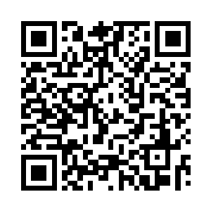 我们也不会将这件事情委托给您来办的二维码生成