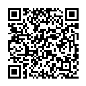 我们也不能把全部的希望都寄托在红河公司身上二维码生成