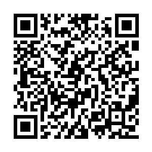 我们也会吸取更多的他势力战士成为九原的士兵二维码生成