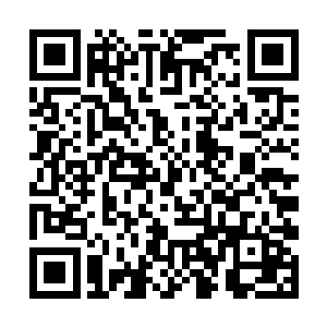我们也只和鬼市的三个不入流的弟子战斗了一番而已二维码生成