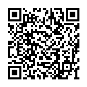 我们也算是掌握了世龙仙人试图谋害仙帝的证据二维码生成