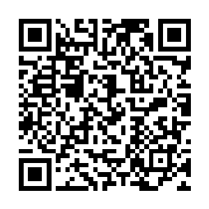 我们也能借助海族的力量多拖延西南联盟一段时间了二维码生成