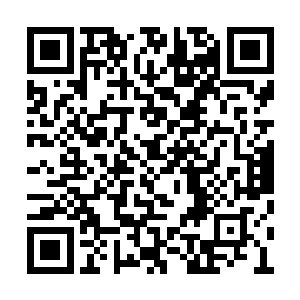 我们二十三军的第一参谋长开始春心荡漾了……二维码生成